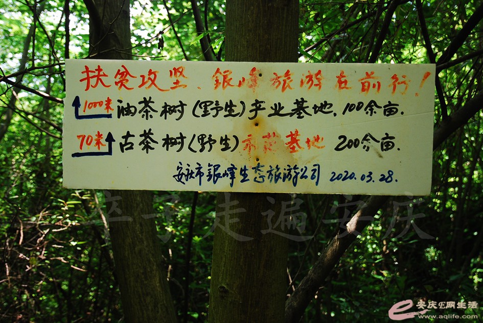 DSC_4356.jpg