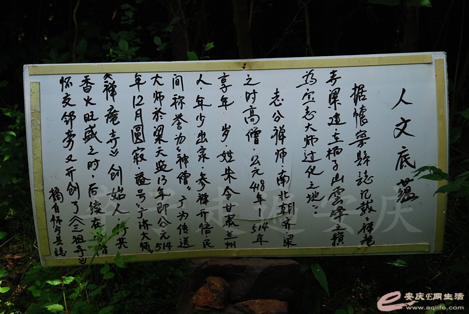 DSC_4367.jpg