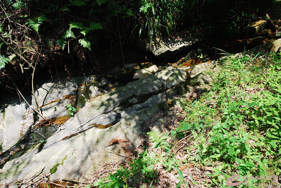 DSC_4376.jpg