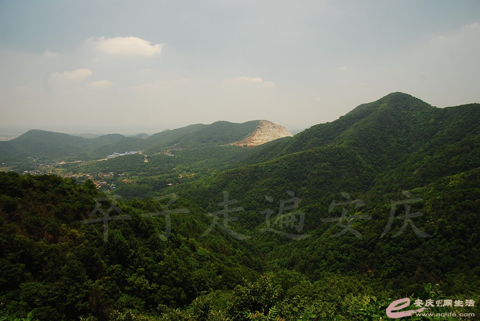 DSC_4405.jpg