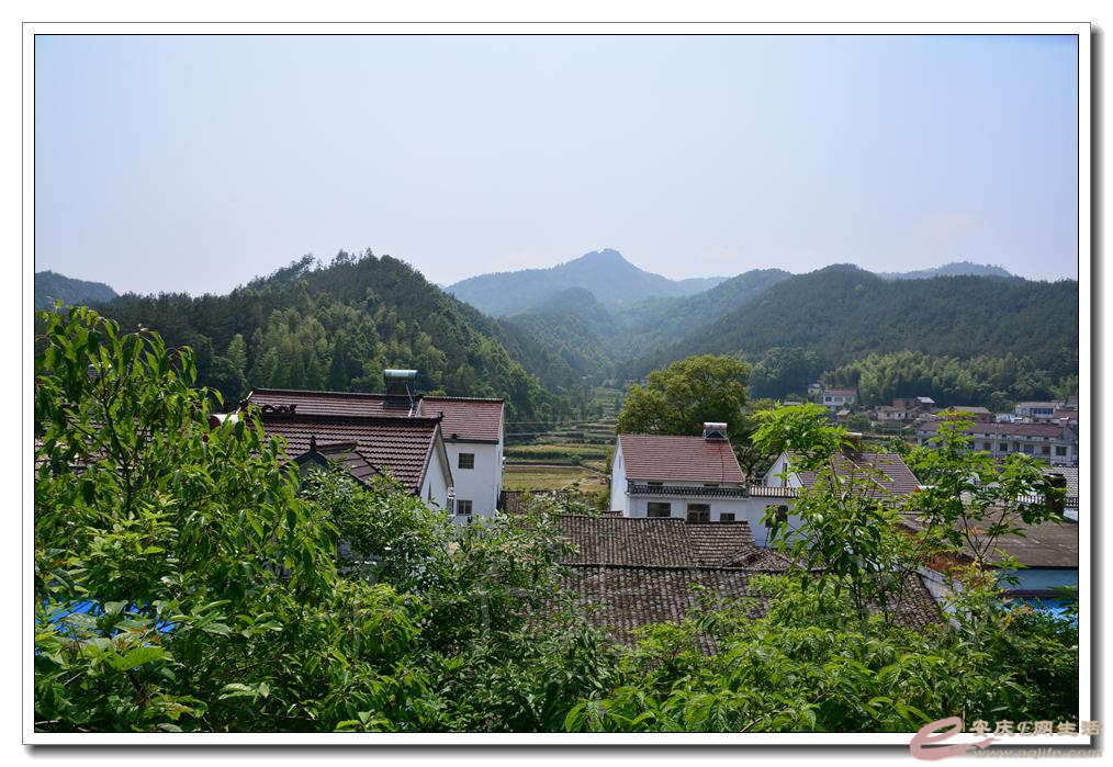 20160514 076.jpg