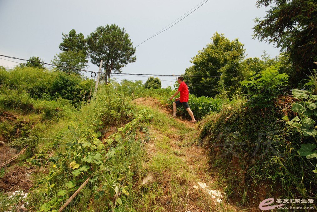 DSC_5201.jpg