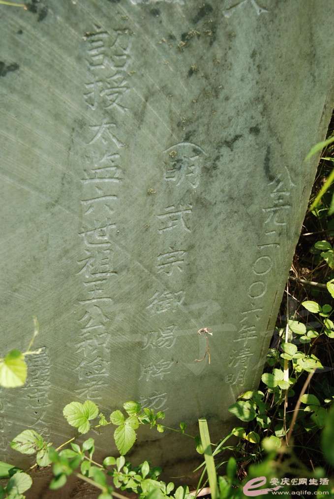 DSC_5213.jpg
