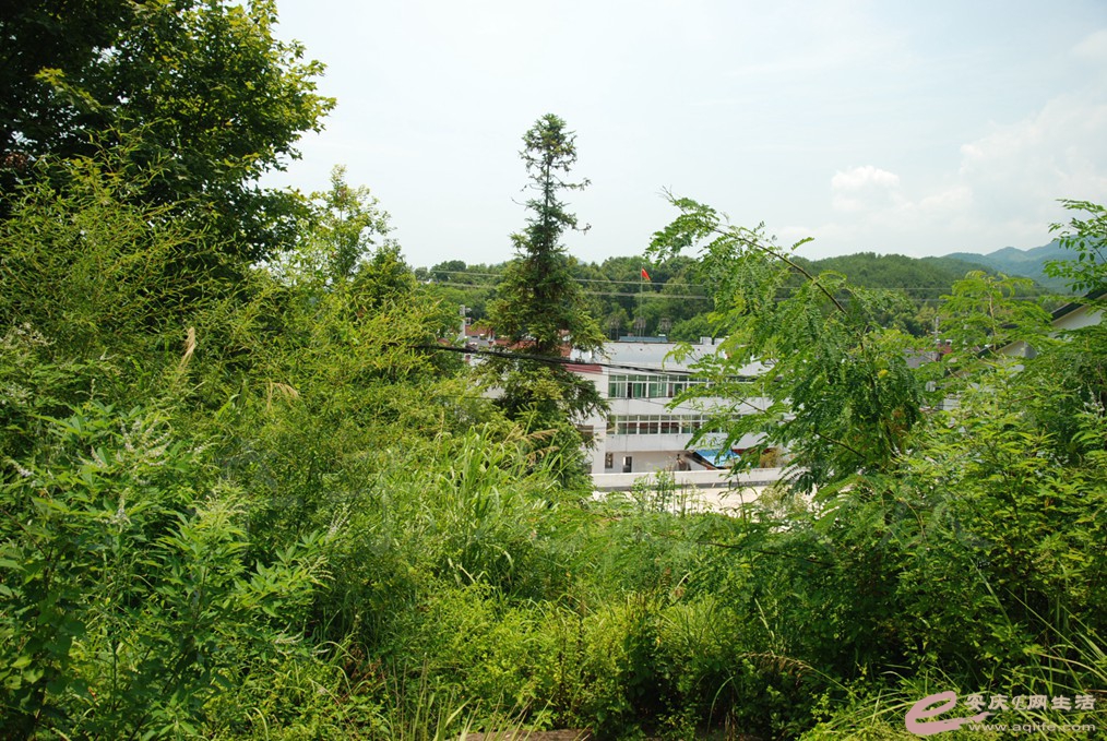 DSC_5220.jpg