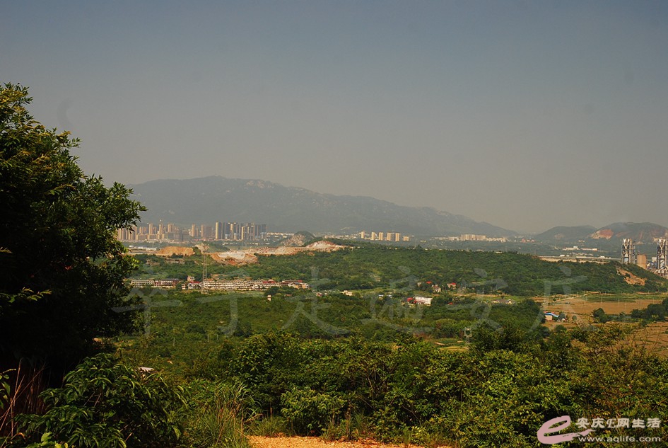 DSC_4268.jpg