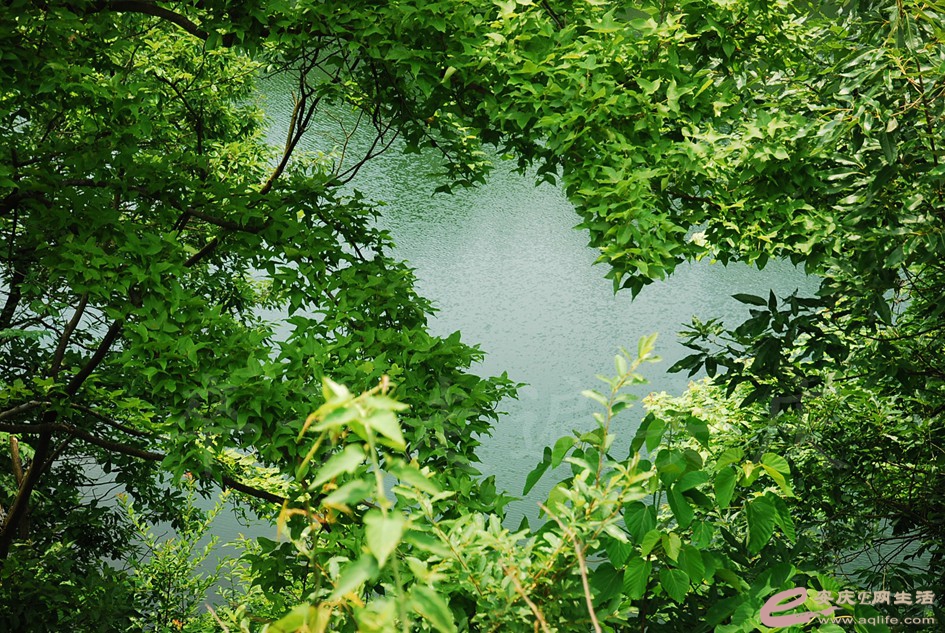 DSC_4320.jpg