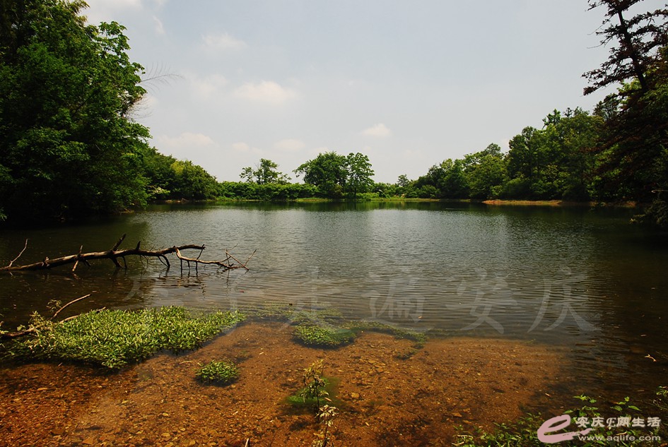 DSC_4332.jpg