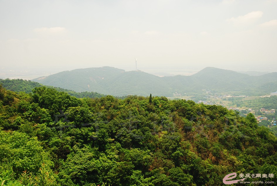 DSC_4402.jpg