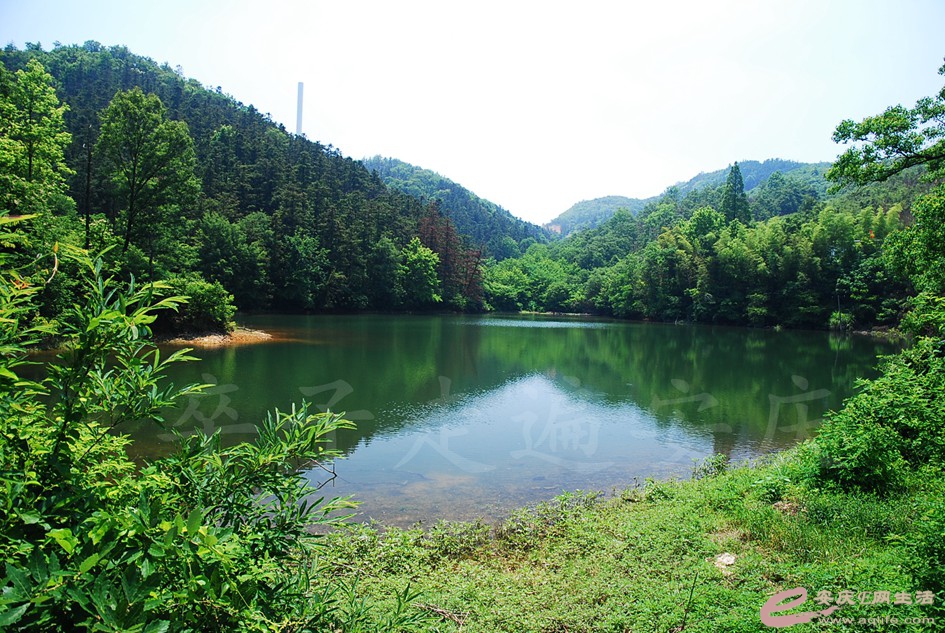 DSC_4430.jpg