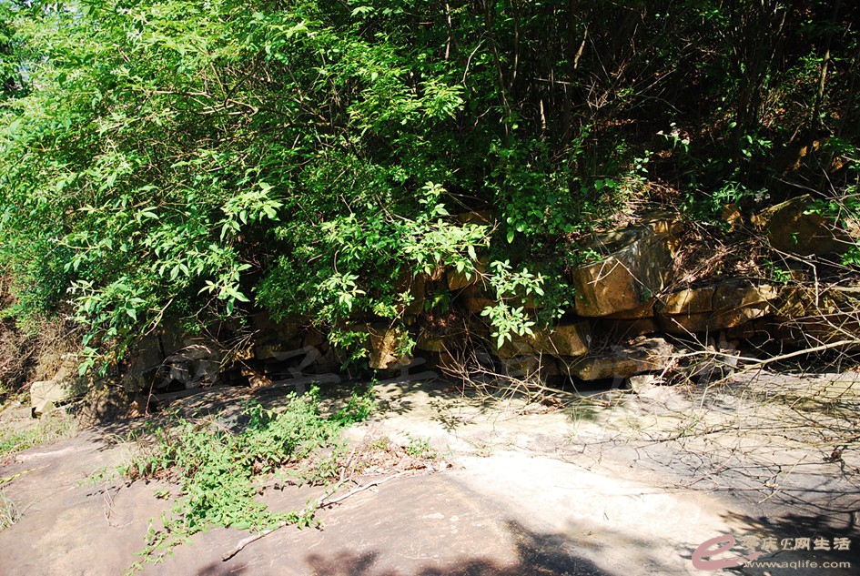 DSC_4444.jpg