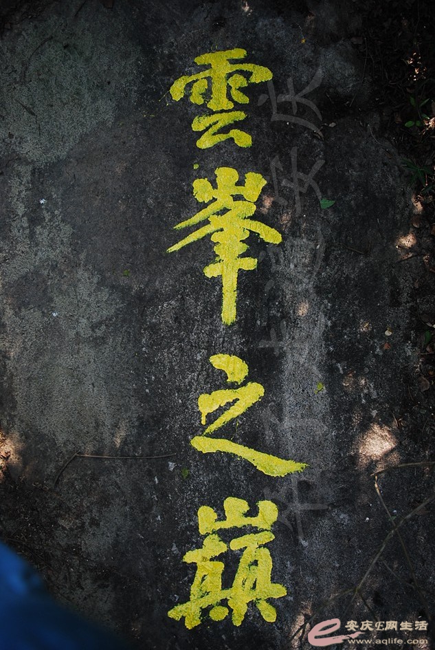 DSC_4445.jpg