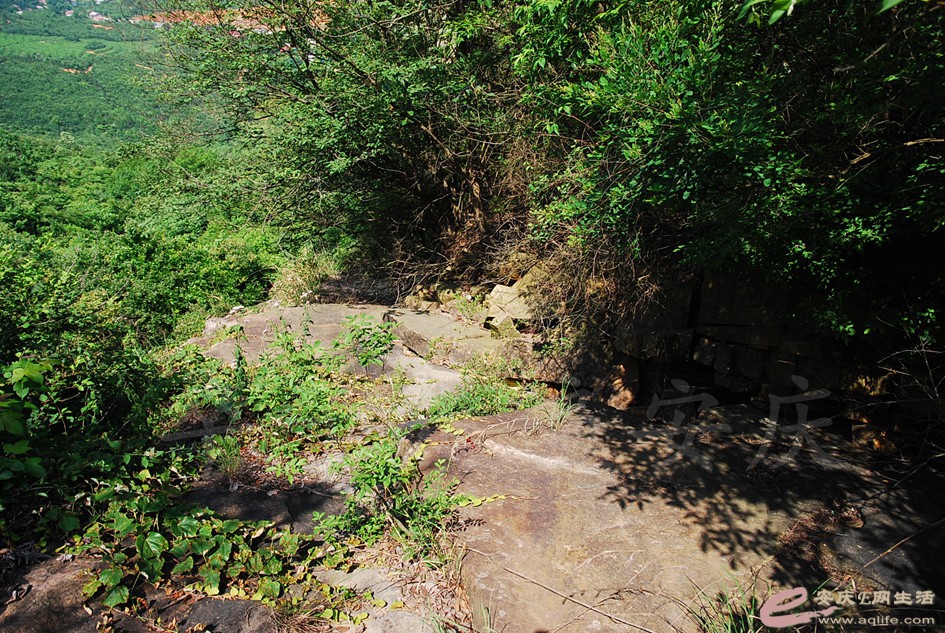DSC_4452.jpg