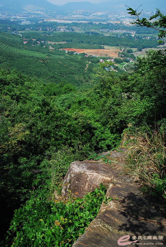 DSC_4462.jpg