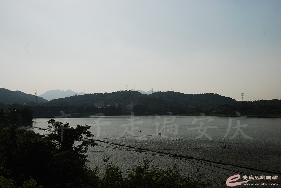 DSC_4473.jpg