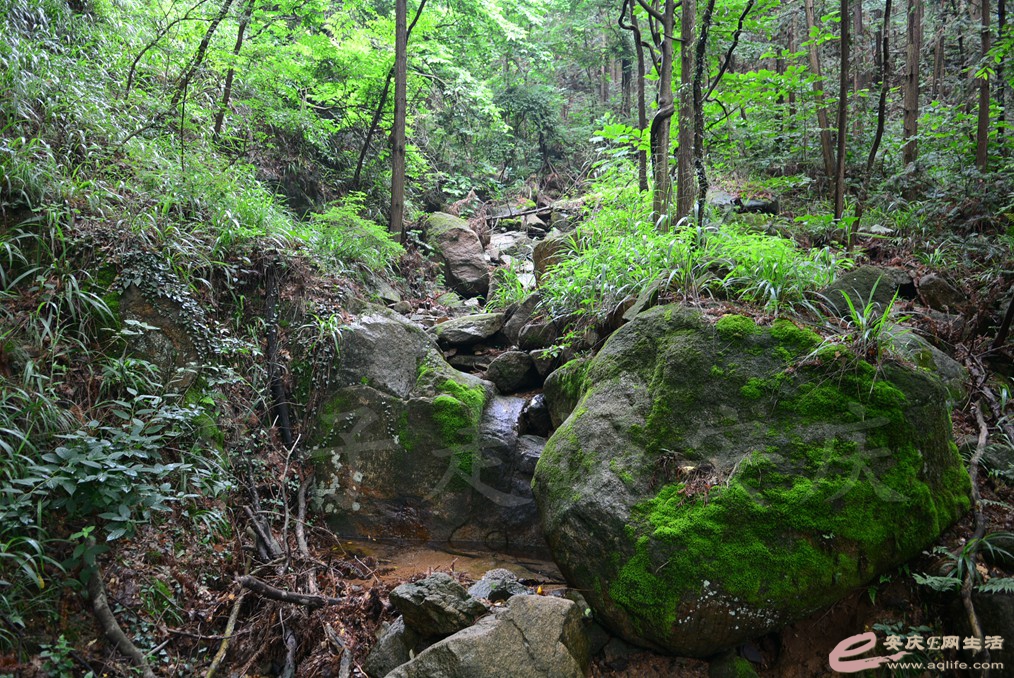 000_7729.jpg