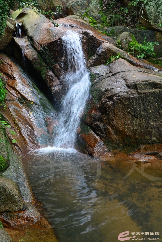 000_7730.jpg