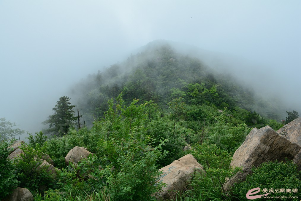 000_7740.jpg