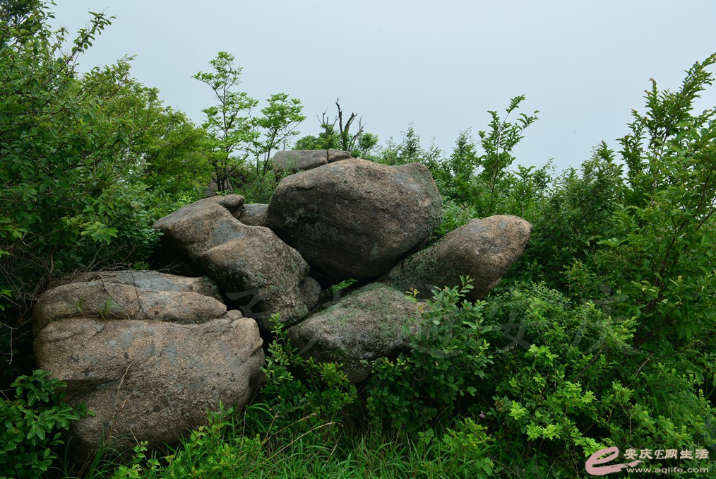 000_7741.jpg