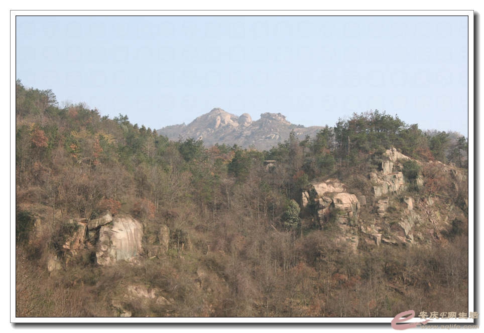 20150307 320.jpg