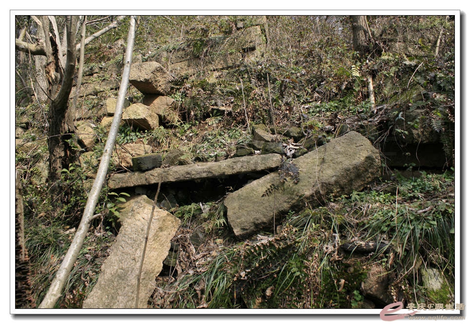 20150307 339.jpg