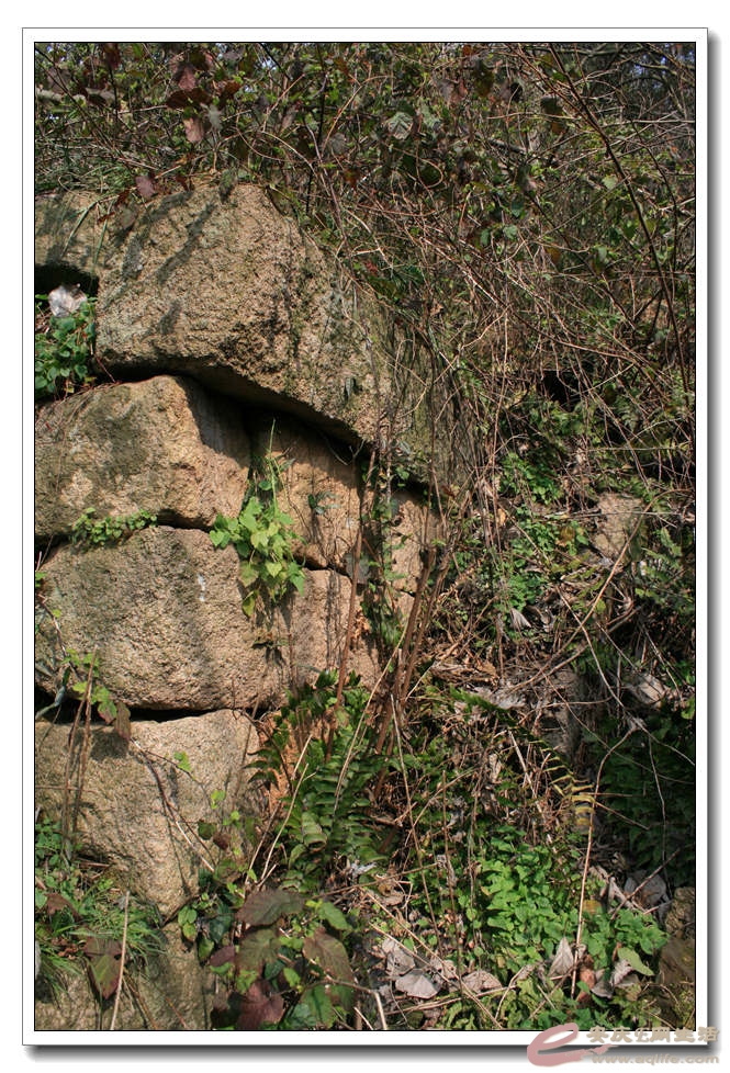20150307 352.jpg