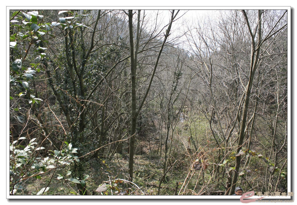20150307 354.jpg