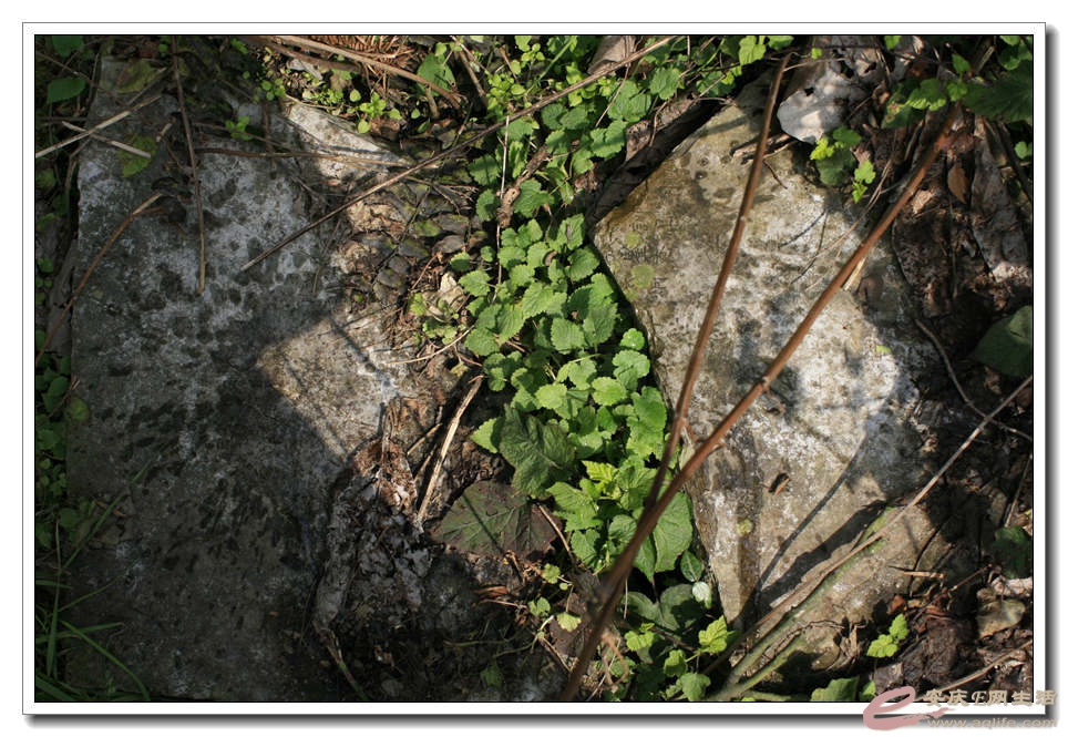 20150307 357.jpg
