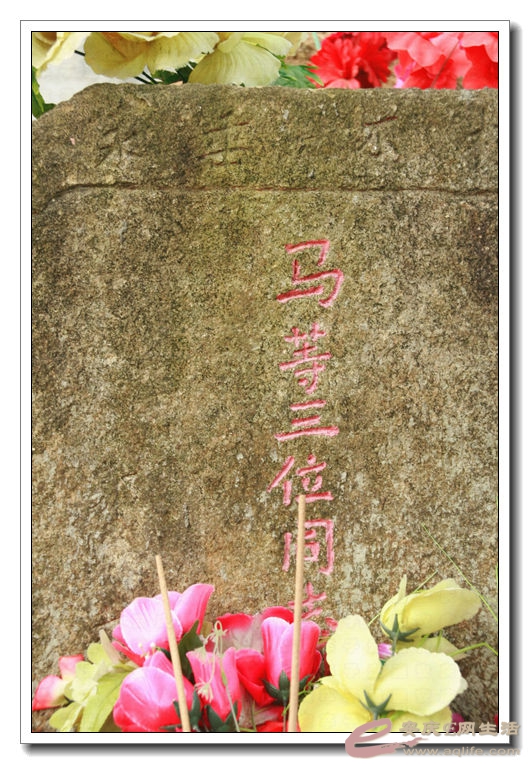 20140719 371.jpg