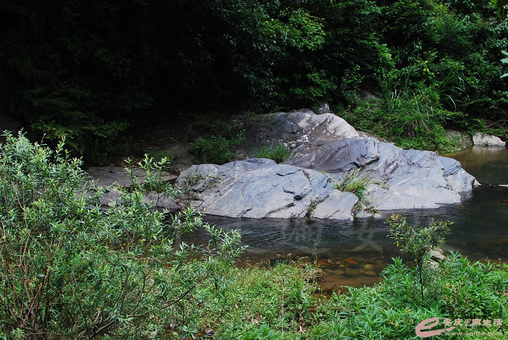 DSC_8038.jpg