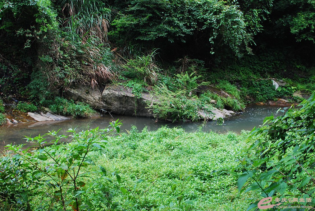 DSC_8040.jpg