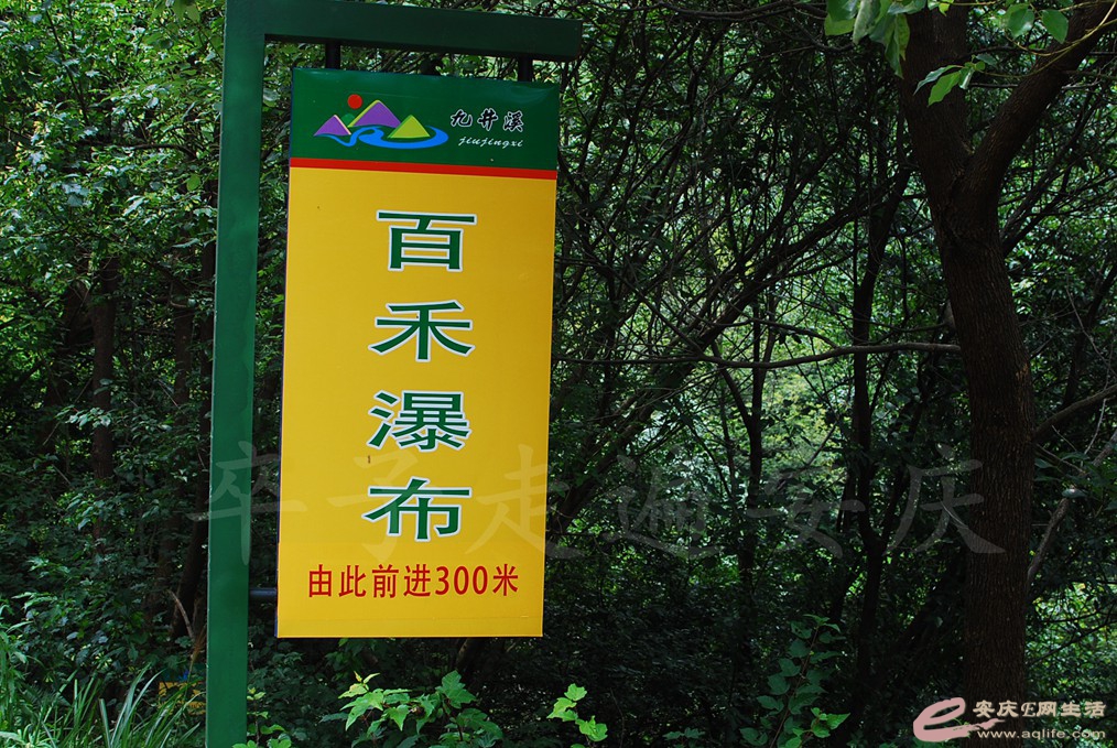 DSC_8036.jpg