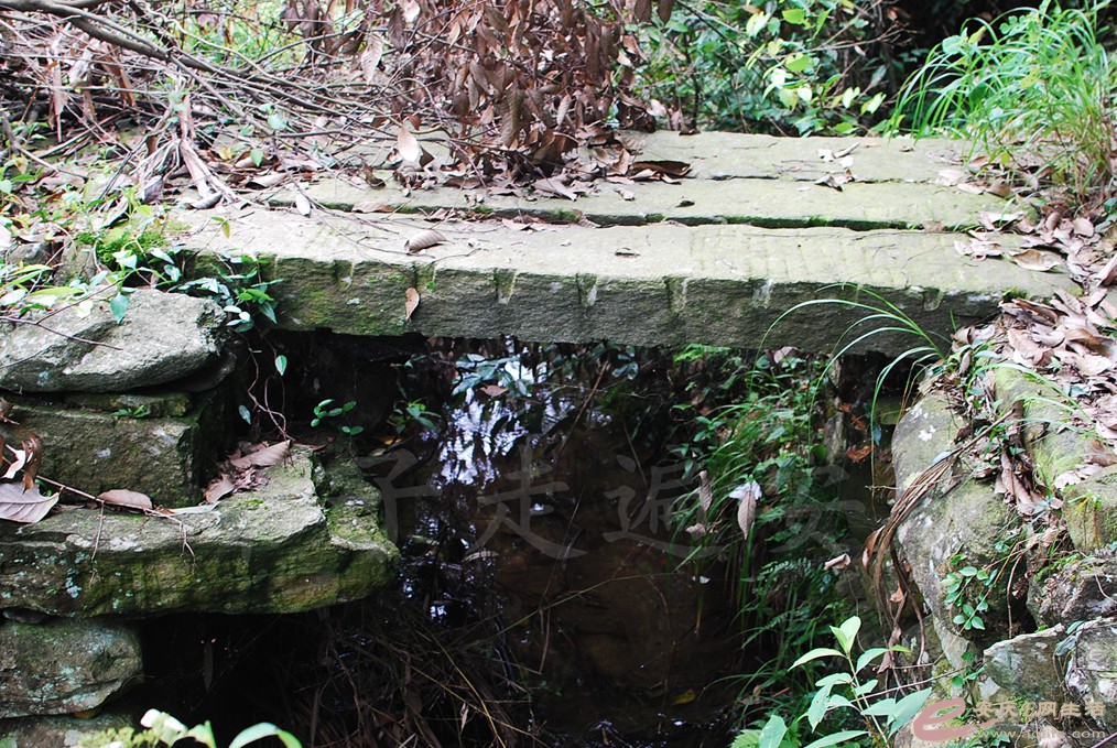 DSC_8044.jpg