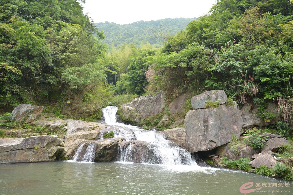 DSC_8050.jpg