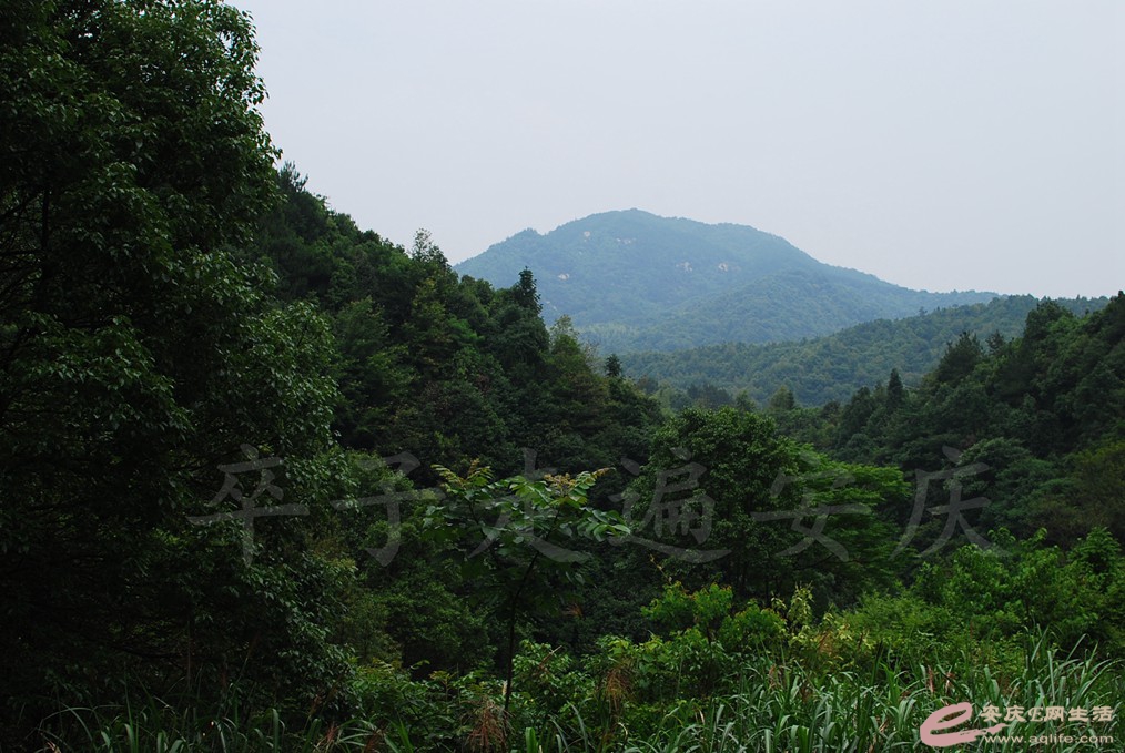 DSC_8067.jpg