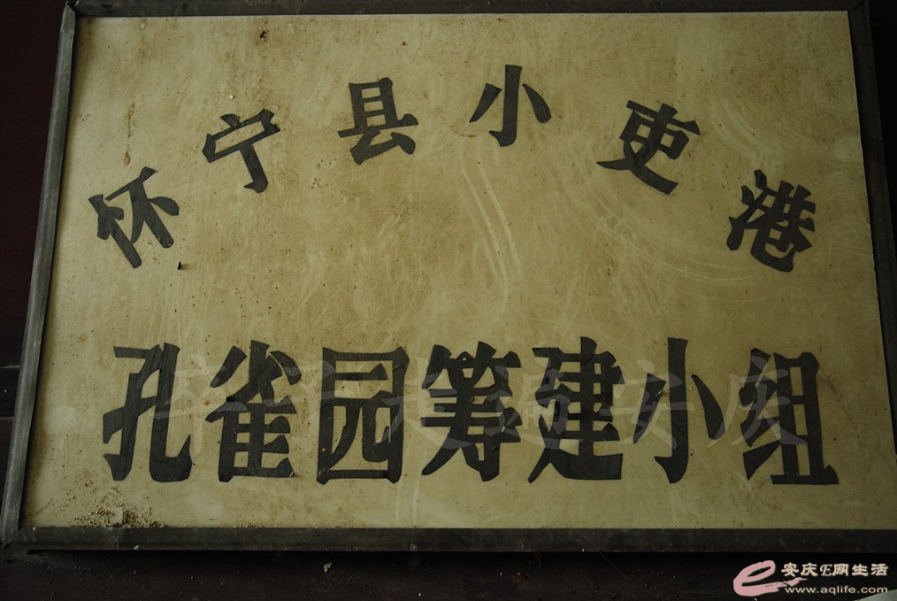 DSC_7005.jpg