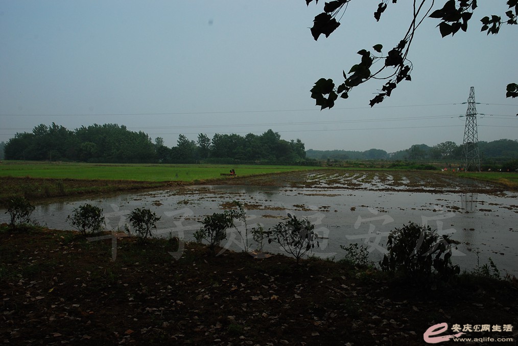DSC_7023.jpg