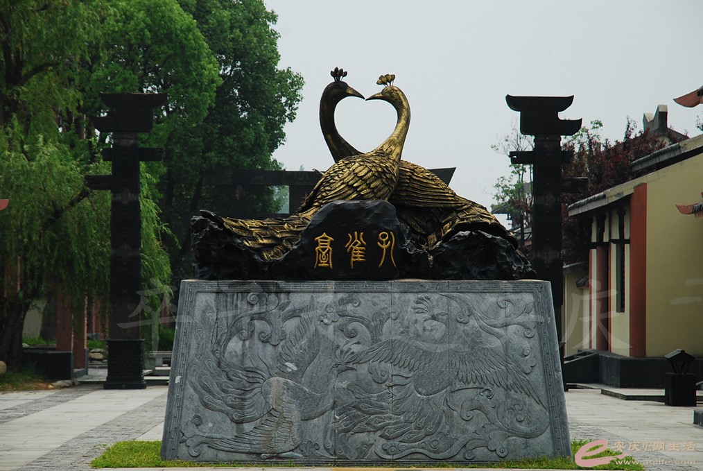 DSC_7055.jpg