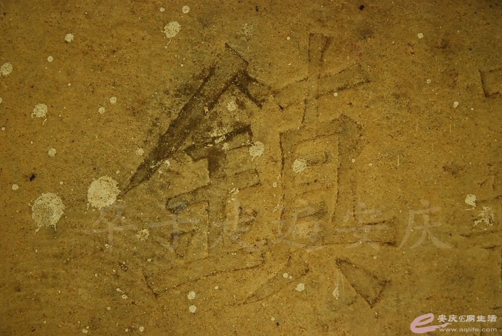 DSC_7131.jpg