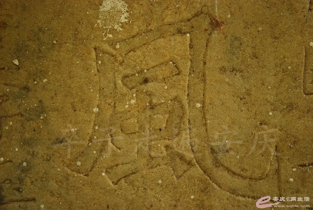 DSC_7132.jpg