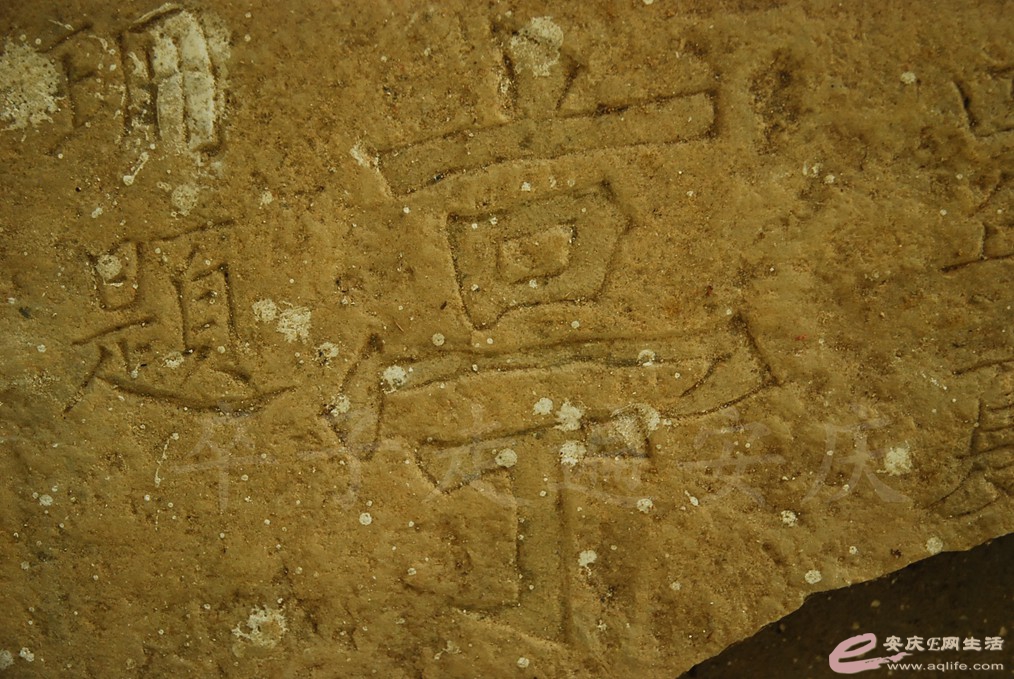 DSC_7133.jpg