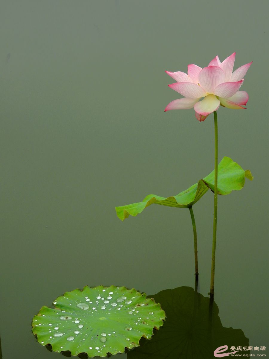 DSCN5525_.jpg