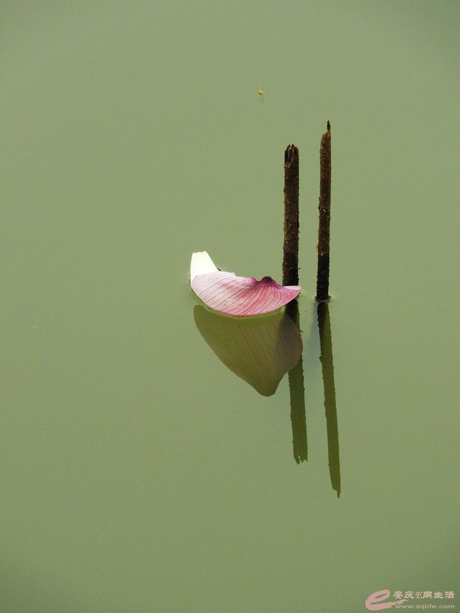 DSCN5513_.jpg