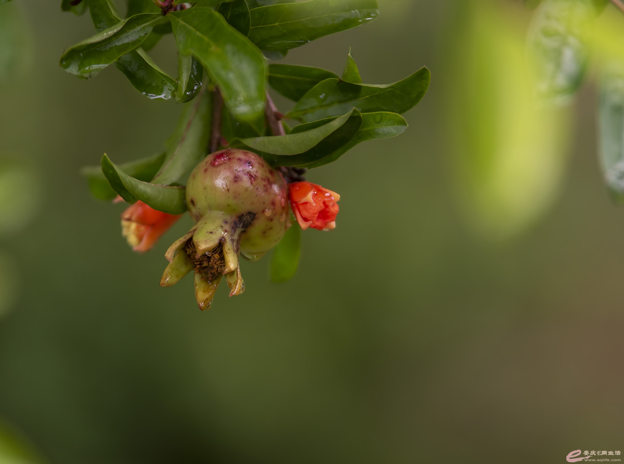 DSC_1748.jpg