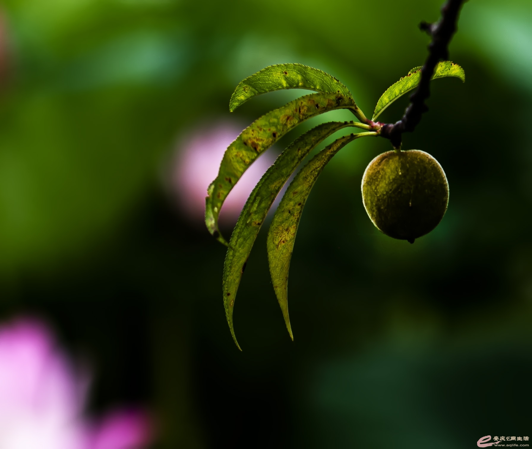DSC_1653.jpg