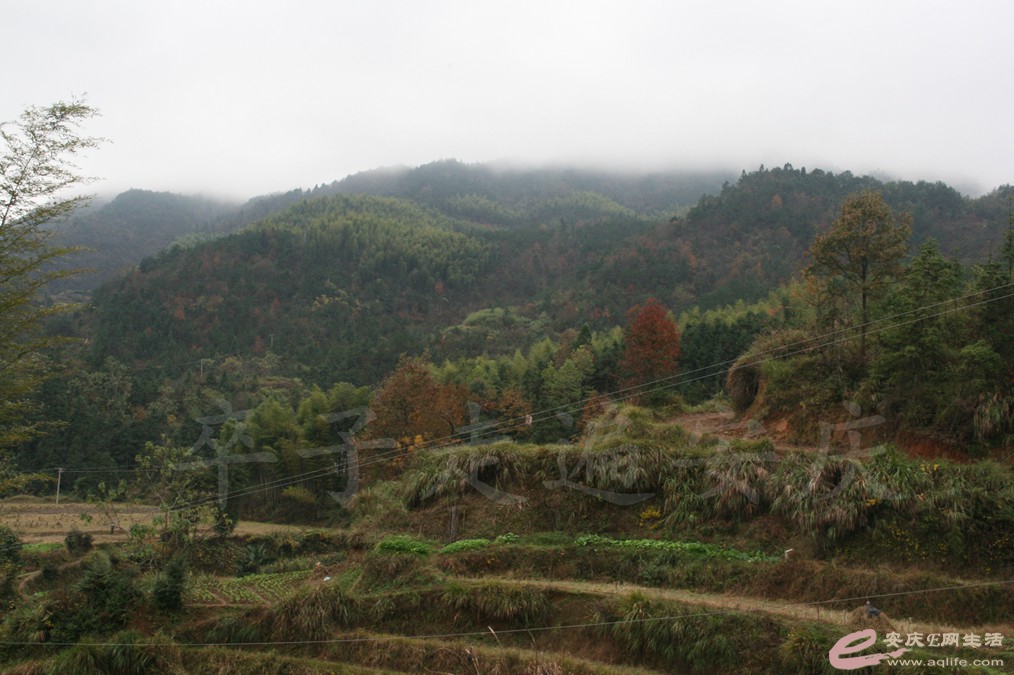 20161112 078.jpg