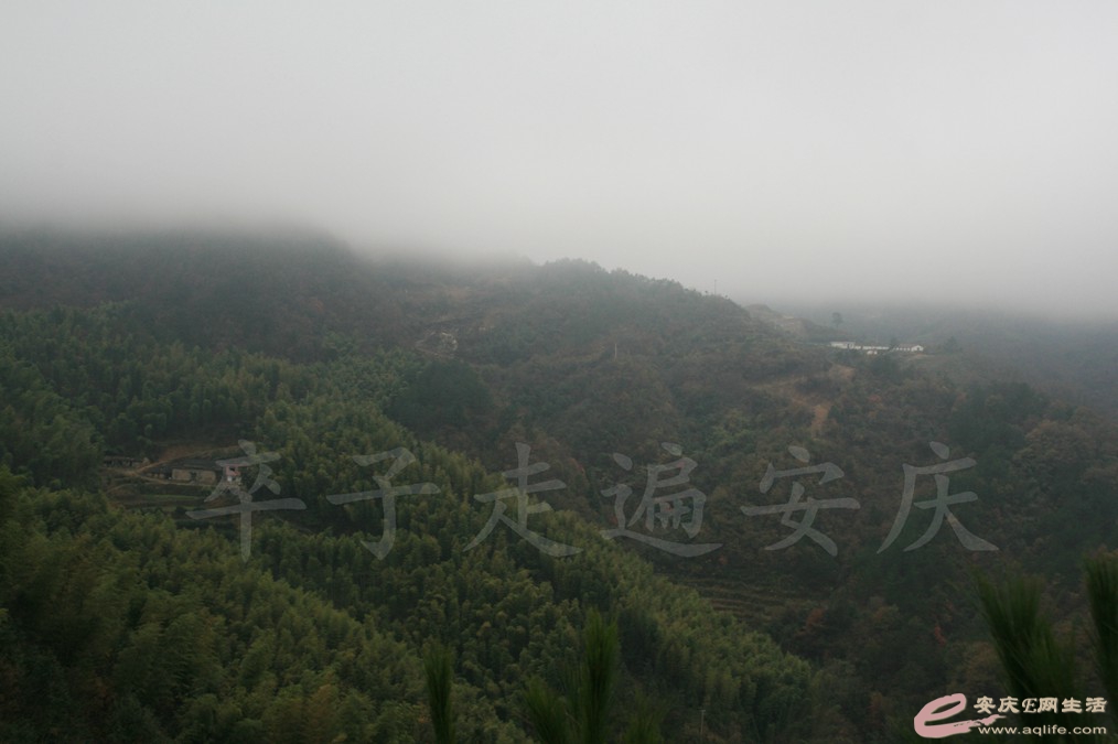 20161112 090.jpg