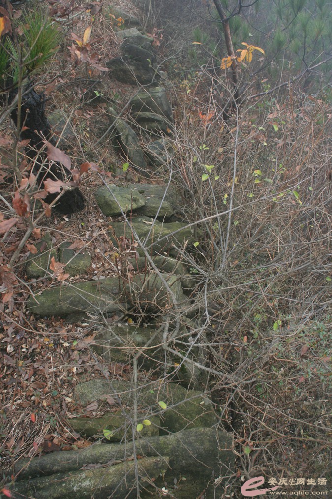 20161112 160.jpg