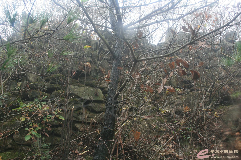 20161112 169.jpg