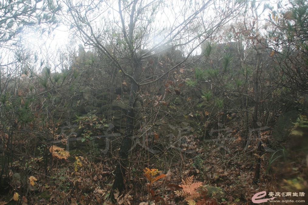 20161112 170.jpg