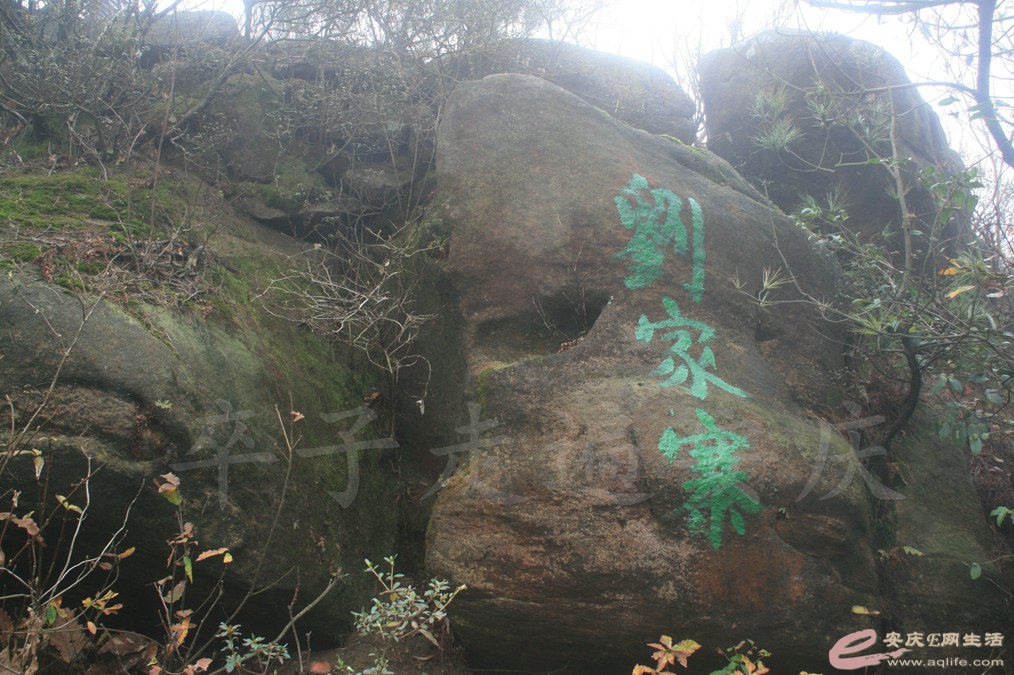 20161112 174.jpg